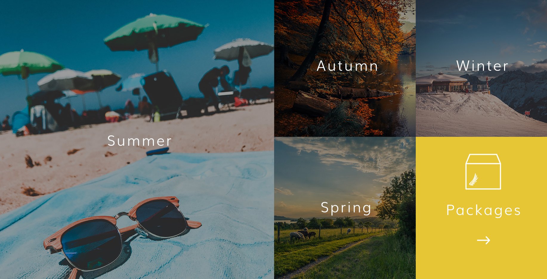 Exclusive Travel Seasons